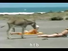 কোঁকড়ানো কেশিক মেয়ে বিএফ বিএফ সেক্সি বিএফ এবং পরিপক্ক মানুষ পুরানো এবং তরুণ লিঙ্গের চেষ্টা করে